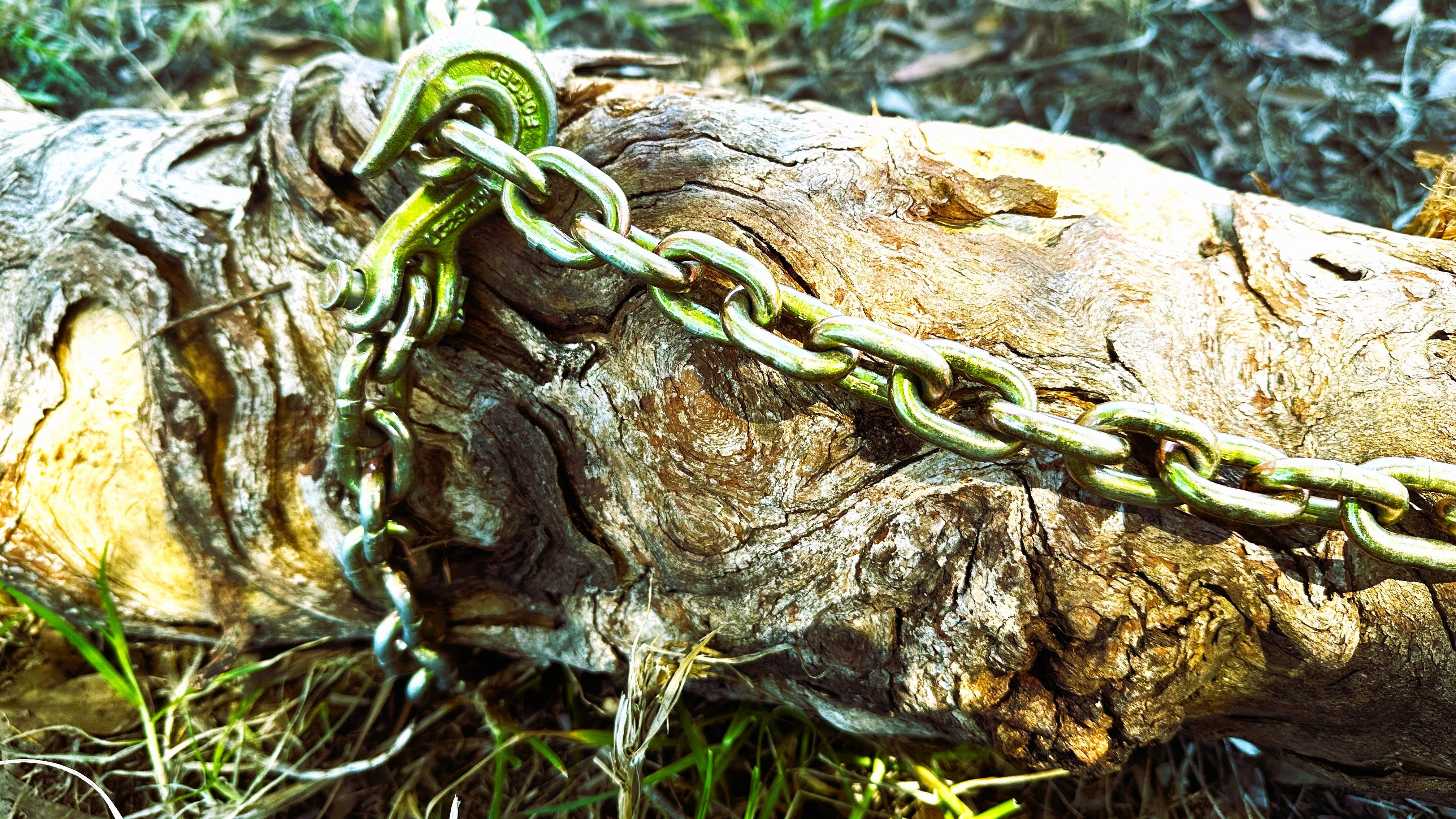 Recovery Log Chain