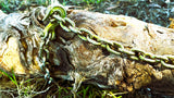 Recovery Log Chain