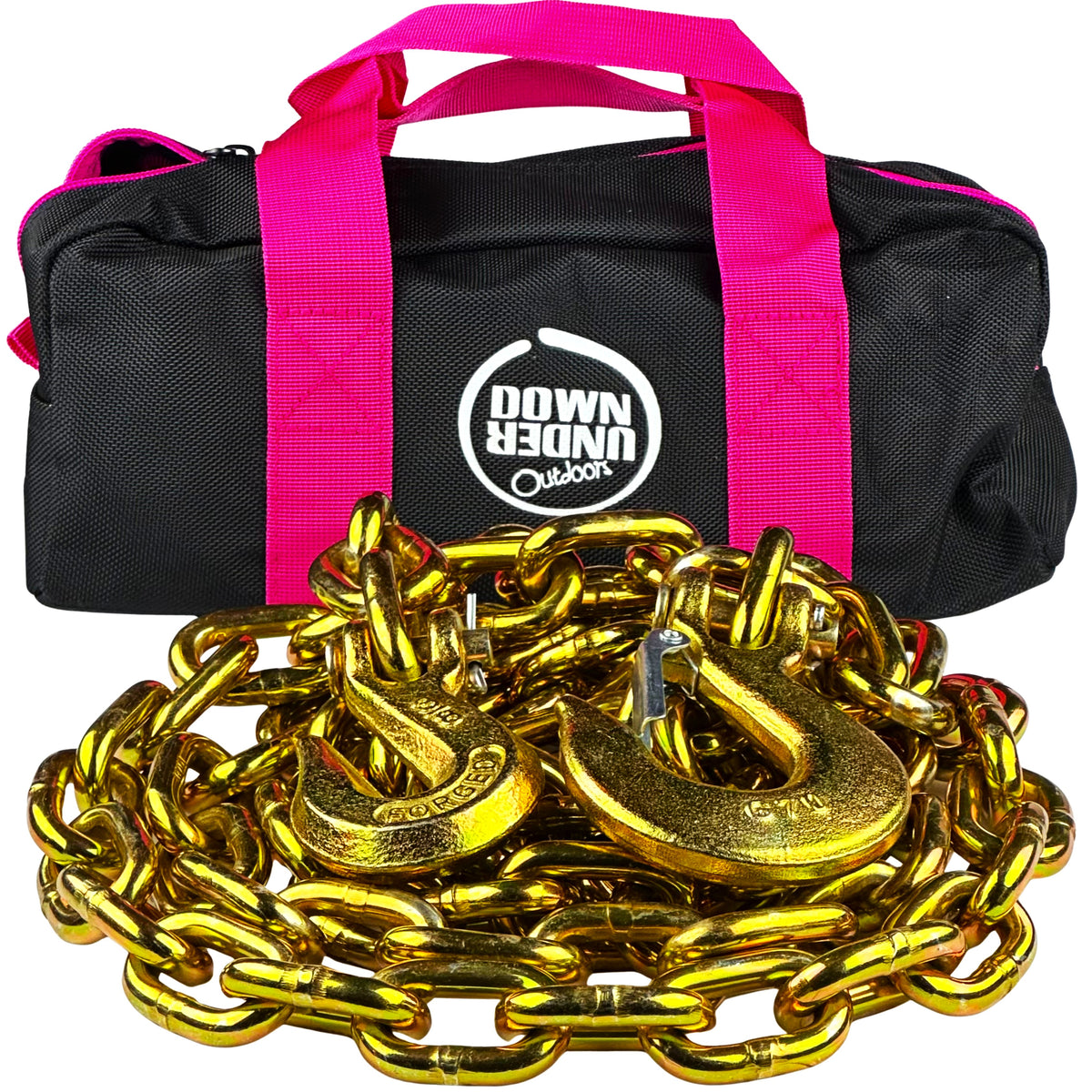 Recovery Log Chain