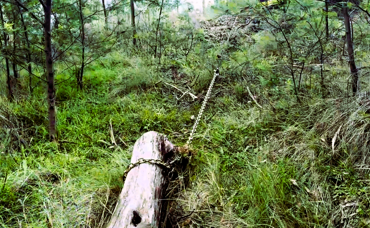 Recovery Log Chain